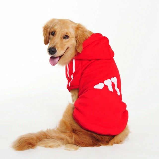 Clothes for Dogs
