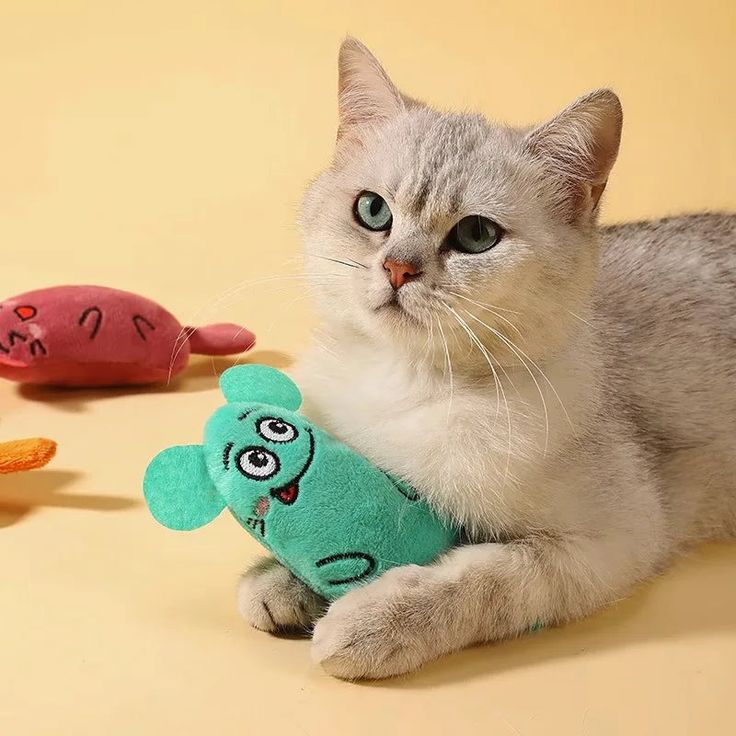 Toys for Cats 🧶