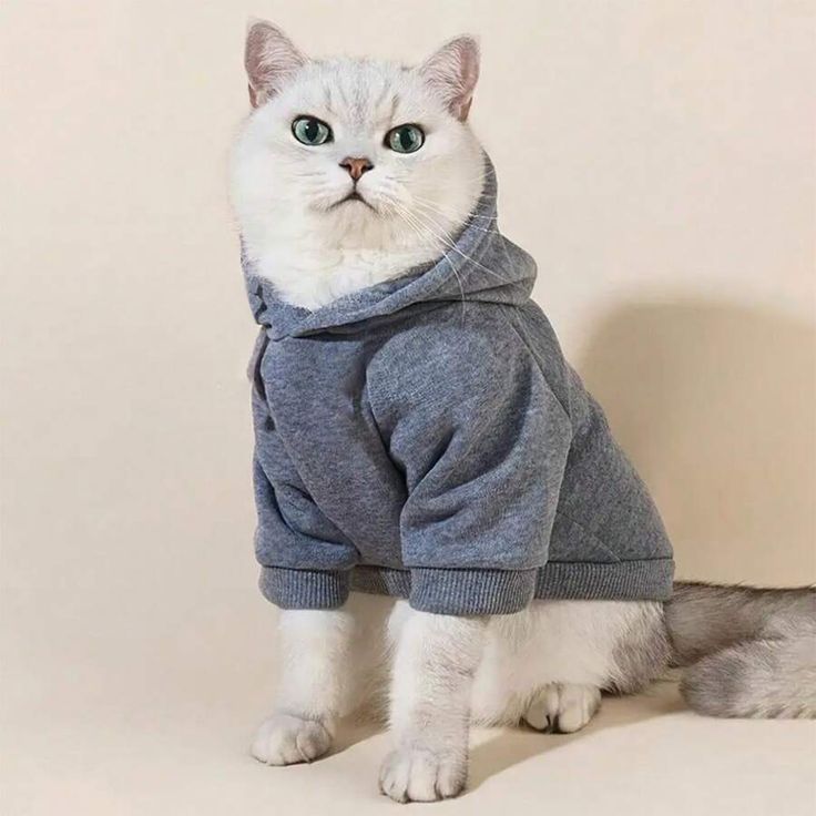 Clothes for Cats