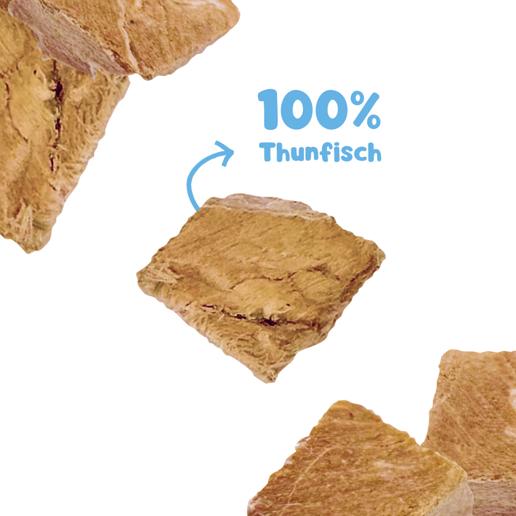 RiNa’s Premium Dog Snack Pack – 4in1 Natural Selection (380g)