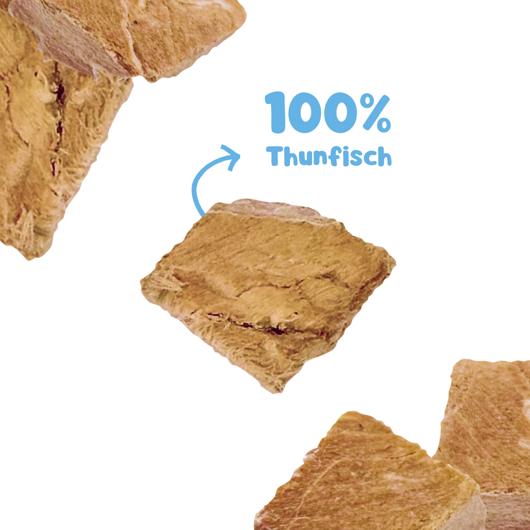 RiNa’s Premium Dog Snack Pack – 4in1 Natural Selection (380g)