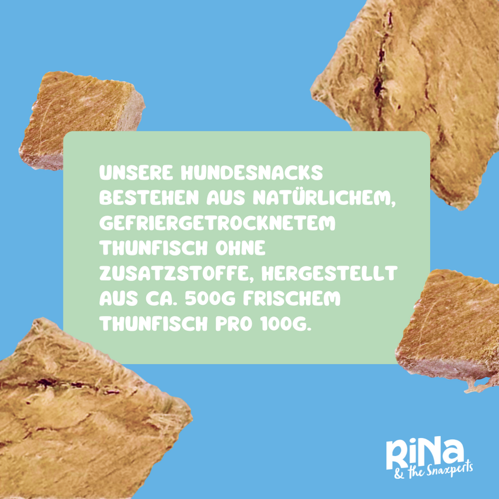 RiNa’s Premium Dog Snack Pack – 4in1 Natural Selection (380g)