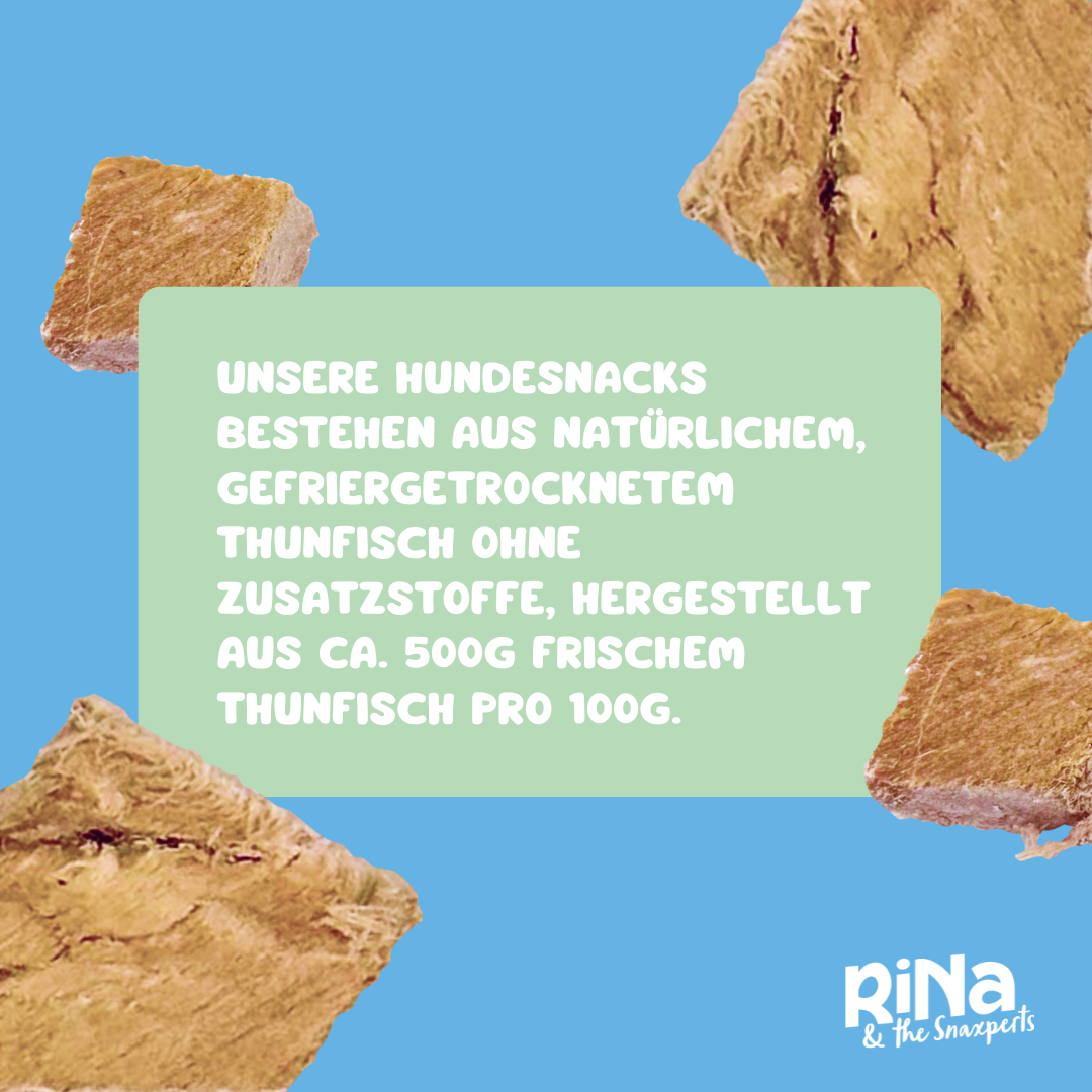 RiNa’s Premium Dog Snack Pack – 4in1 Natural Selection (380g)