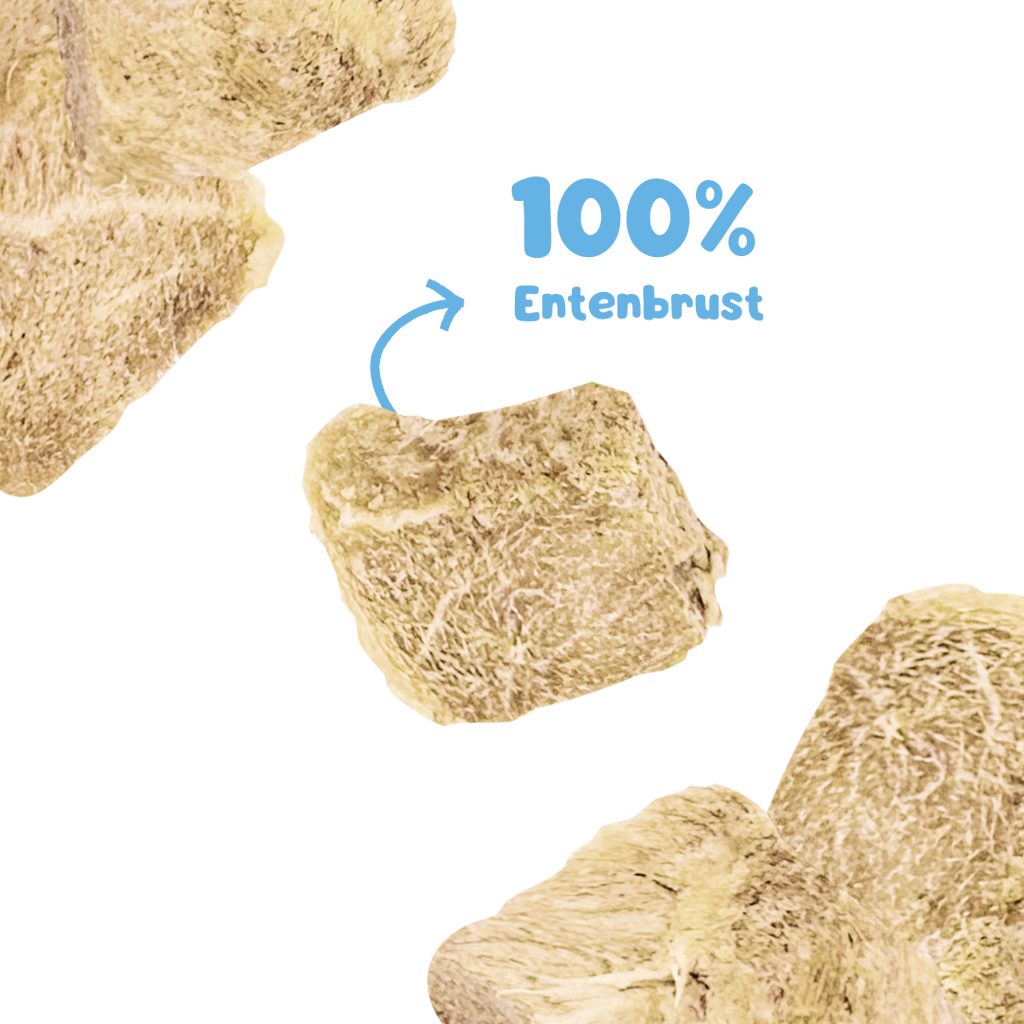 RiNa’s Premium Dog Snack Pack – 4in1 Natural Selection (380g)