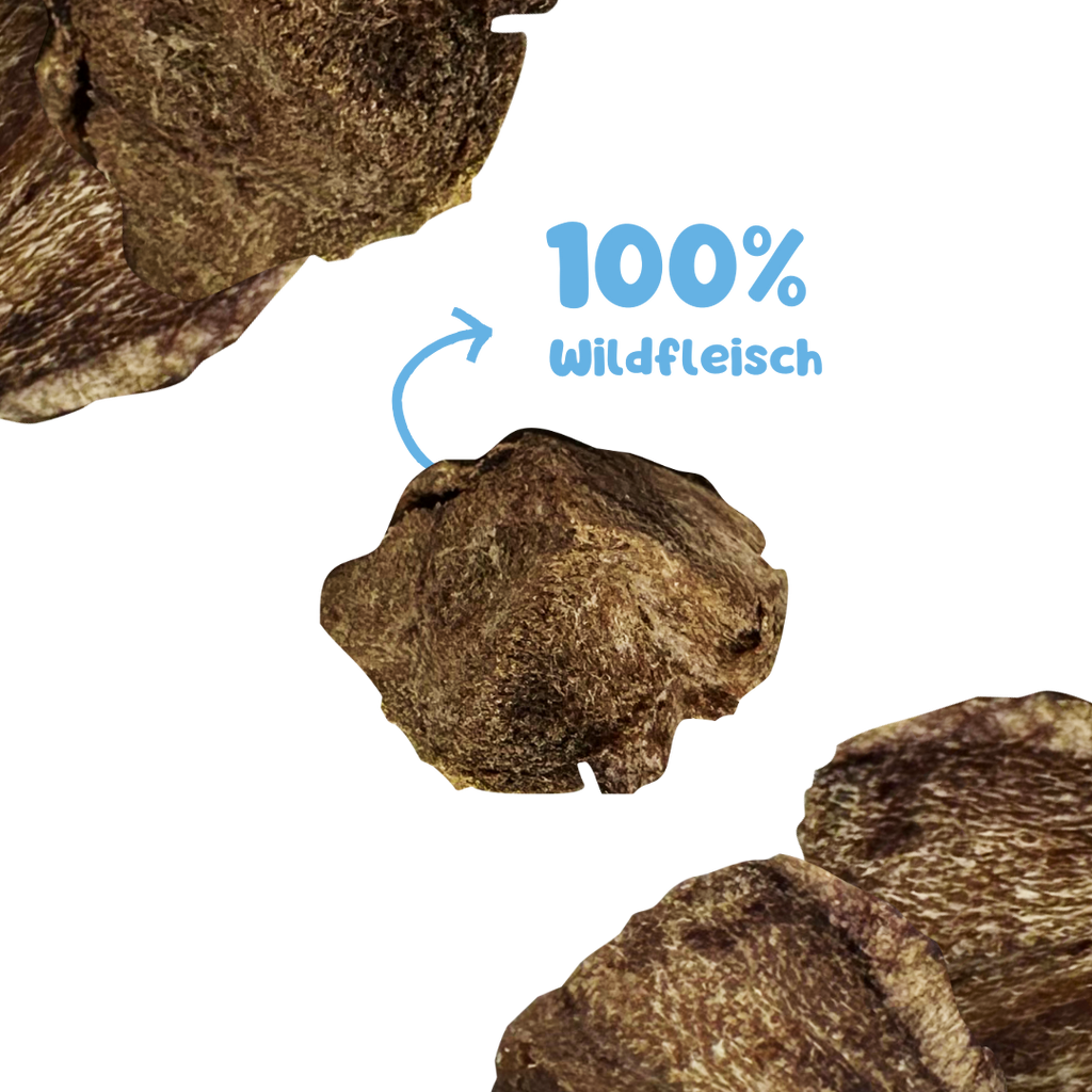 RiNa’s 100% Wild Meat – Freeze-Dried Dog Snack 90g