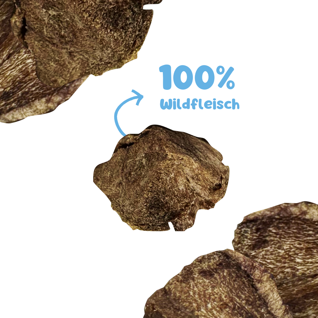 RiNa’s 100% Wild Meat – Freeze-Dried Dog Snack 90g