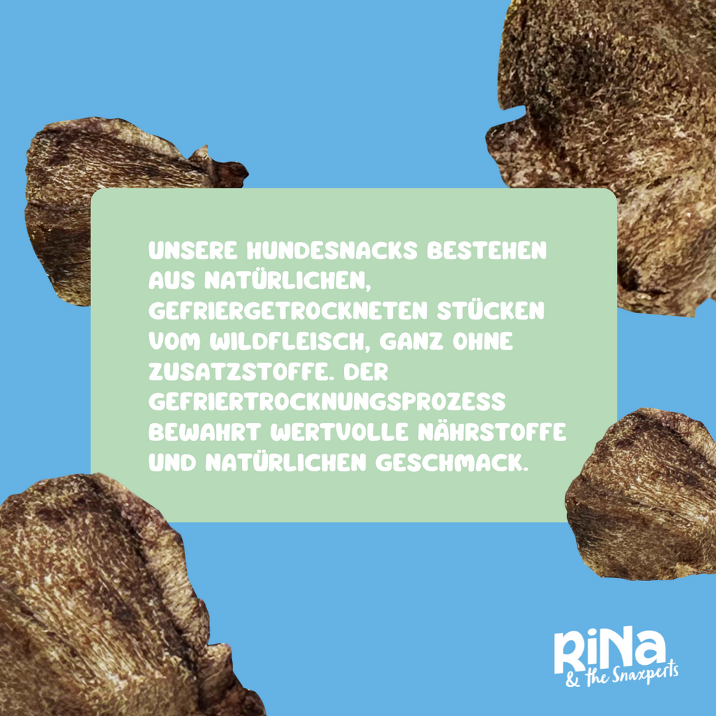 RiNa’s 100% Wild Meat – Freeze-Dried Dog Snack 90g