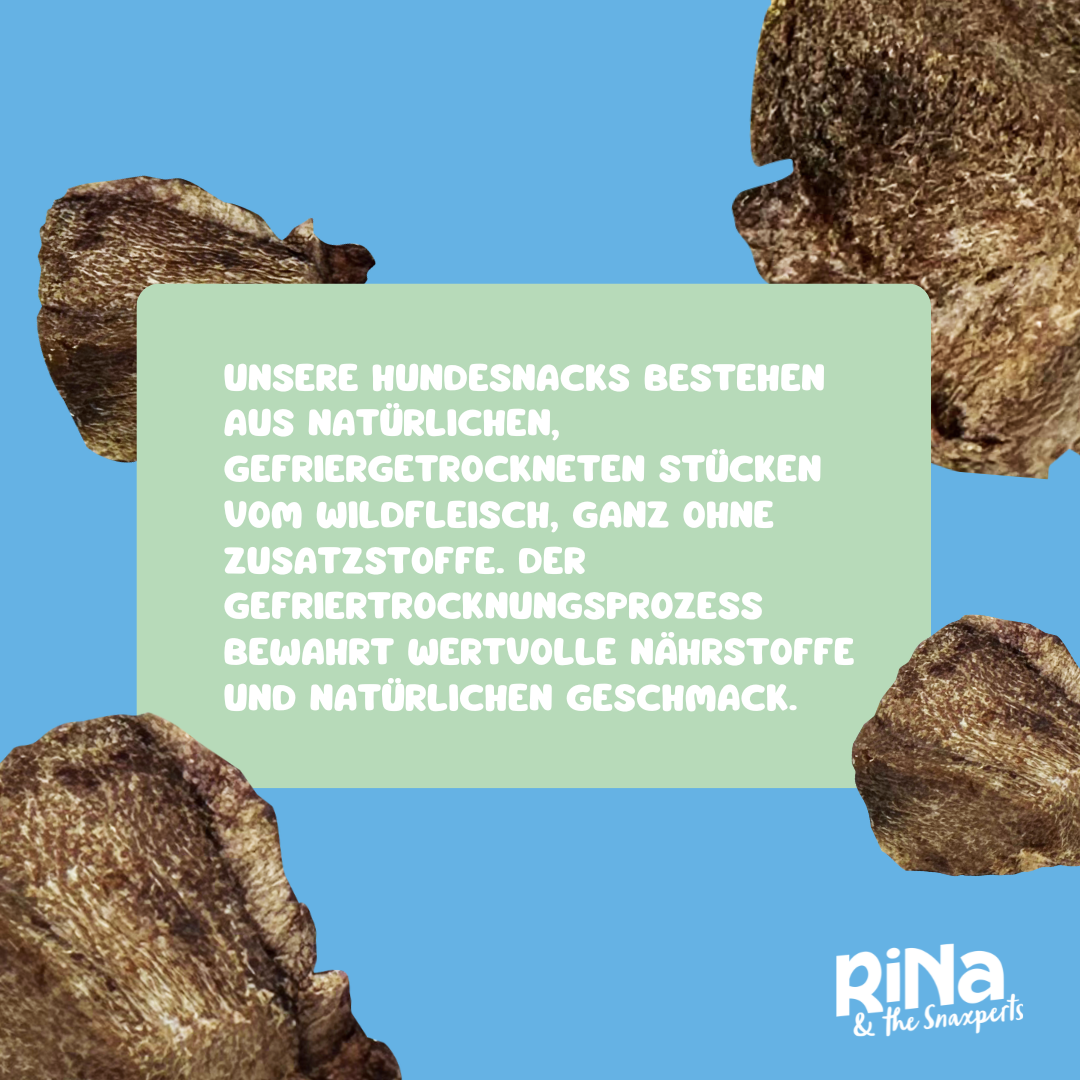 RiNa’s 100% Wild Meat – Freeze-Dried Dog Snack 90g