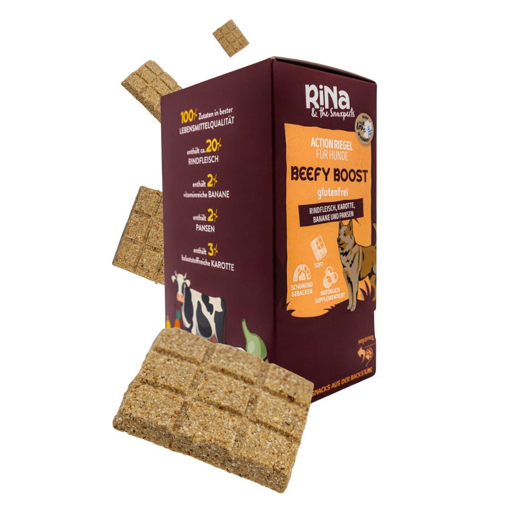 RiNa’s Bee Booster – Functional Dog Snack with Lamb, Bee Pollen & Turmeric (300g)