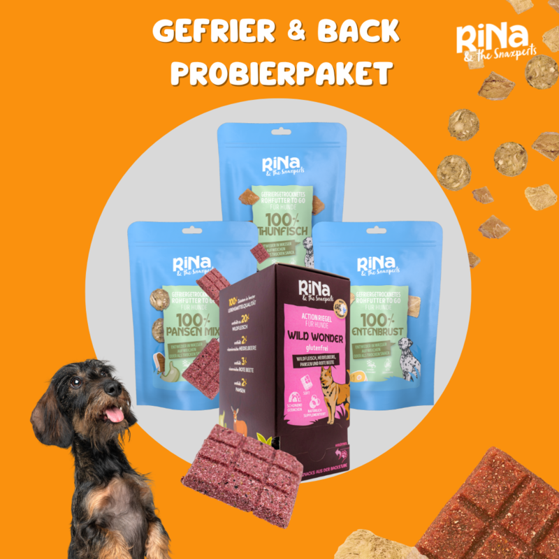 RiNa’s Premium Dog Snack Pack – 4in1 Natural Selection (380g)