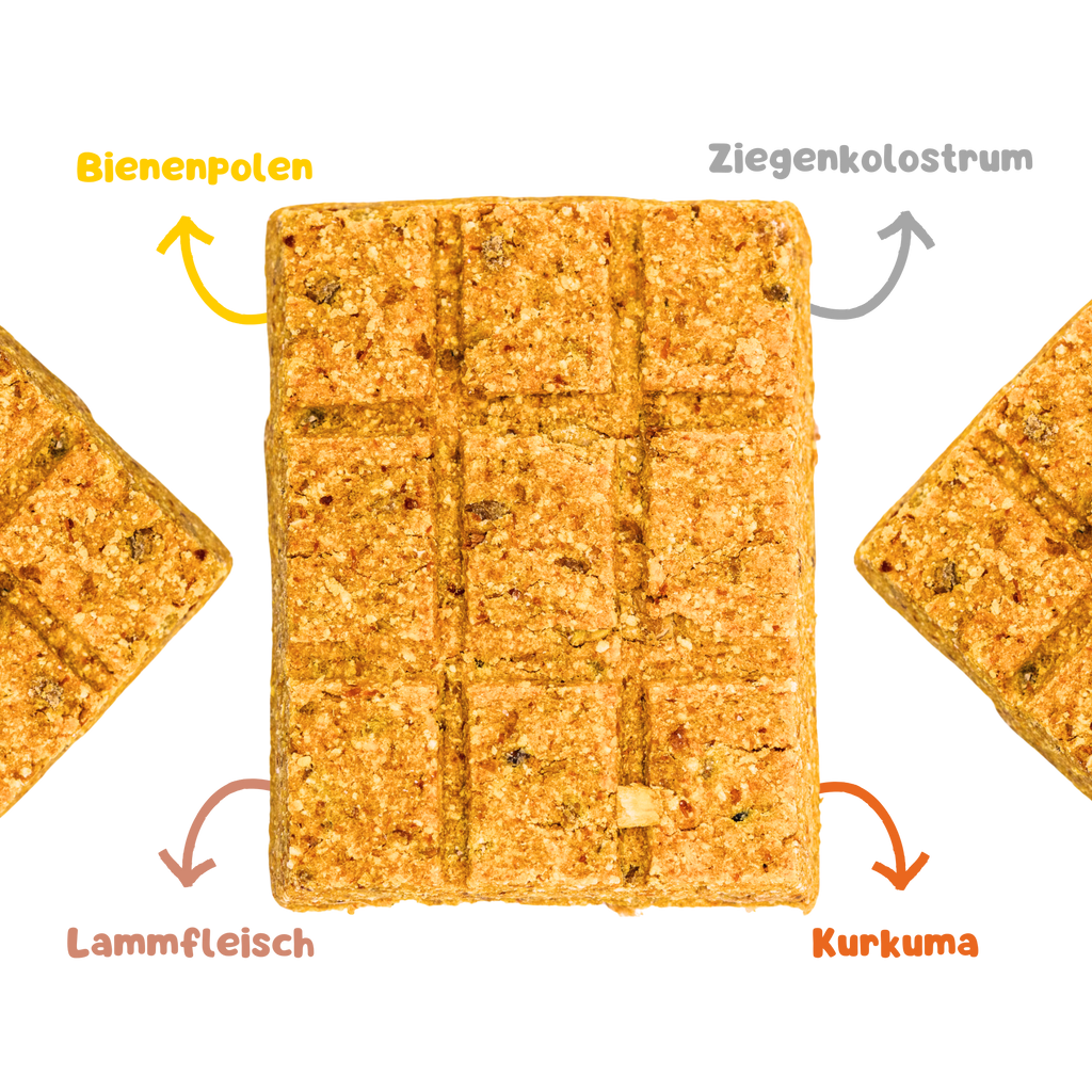 RiNa's BEE BOOSTER - Funktionale Hunde-Leckerli mit Lammfleisch, Bienenpollen, Ziegenkolostrum & Kurkuma - Für Immunität und Allergie - 10er-Riegelbox 300g