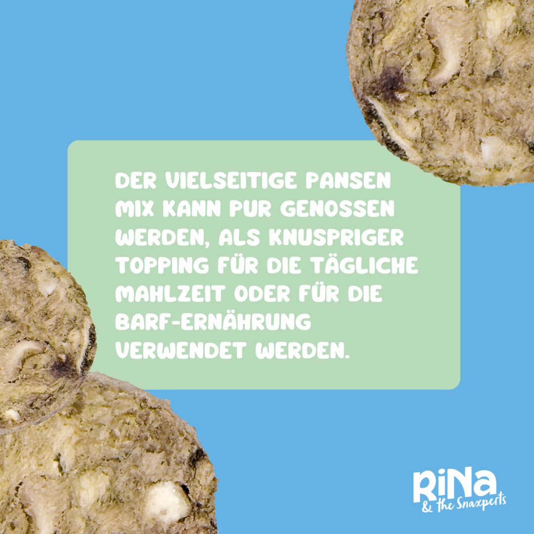 RiNa’s Premium Dog Snack Pack – 4in1 Natural Selection (380g)