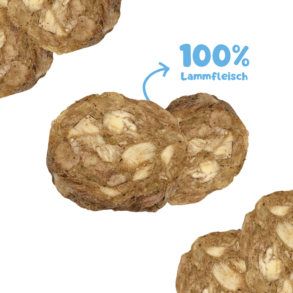 RiNa’s 100% Lamb Mix – Freeze-Dried Dog Snack (110g)