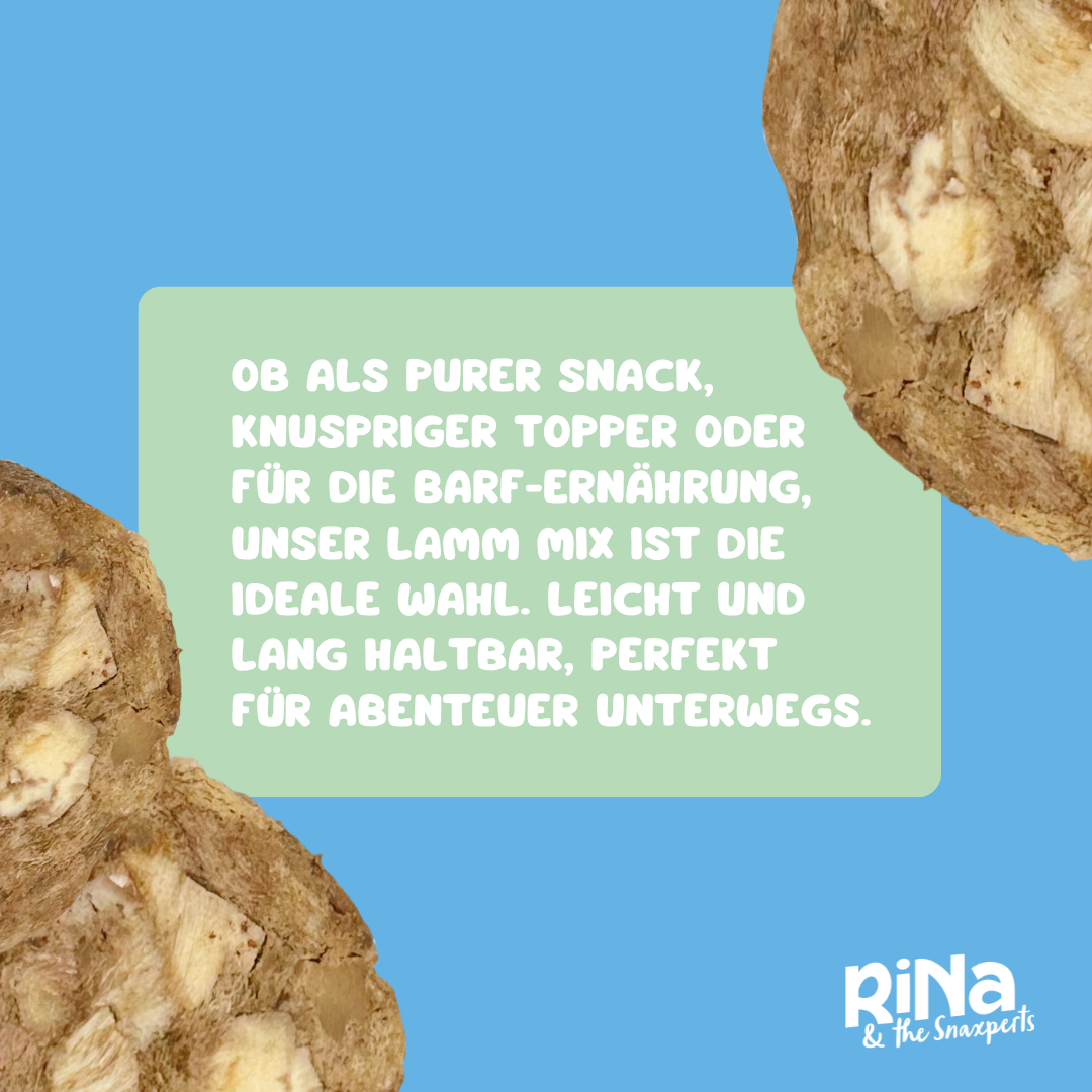 RiNa’s 100% Lamb Mix – Freeze-Dried Dog Snack (110g)