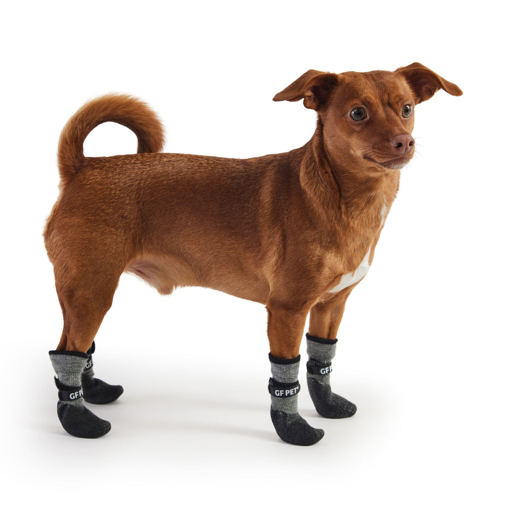 All Terrain Waterproof Dog Boots – Charcoal | Anti-Slip, Lightweight, Built-In Sock