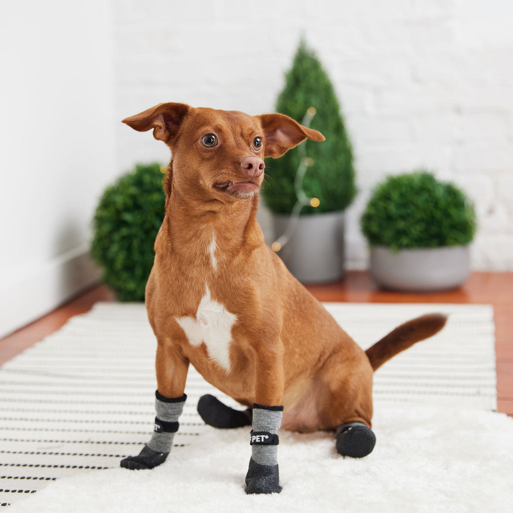 All Terrain Waterproof Dog Boots – Charcoal | Anti-Slip, Lightweight, Built-In Sock