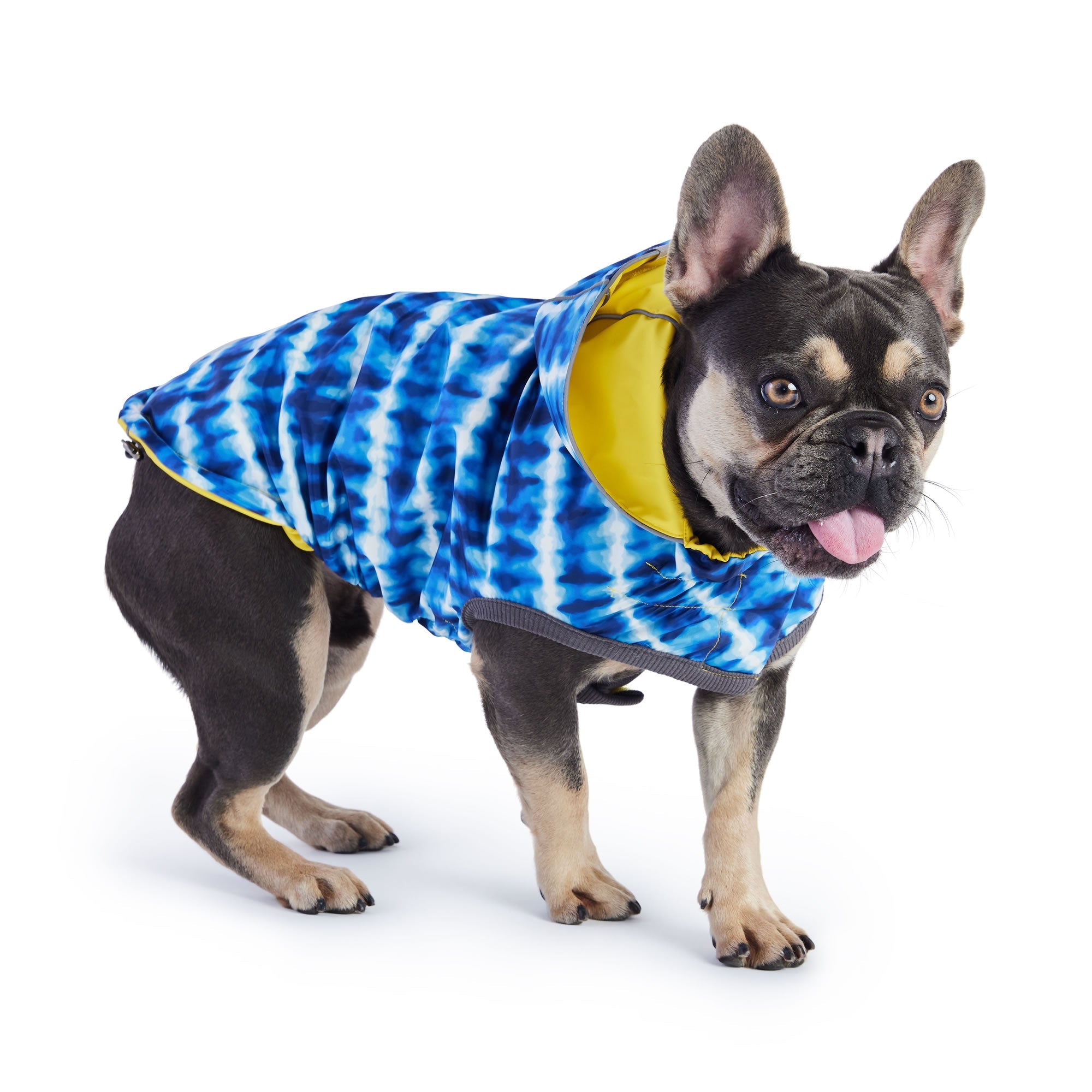 Reversible Elasto-Fit Waterproof Dog Raincoat – Yellow/Blue | 2-in-1 Jacket