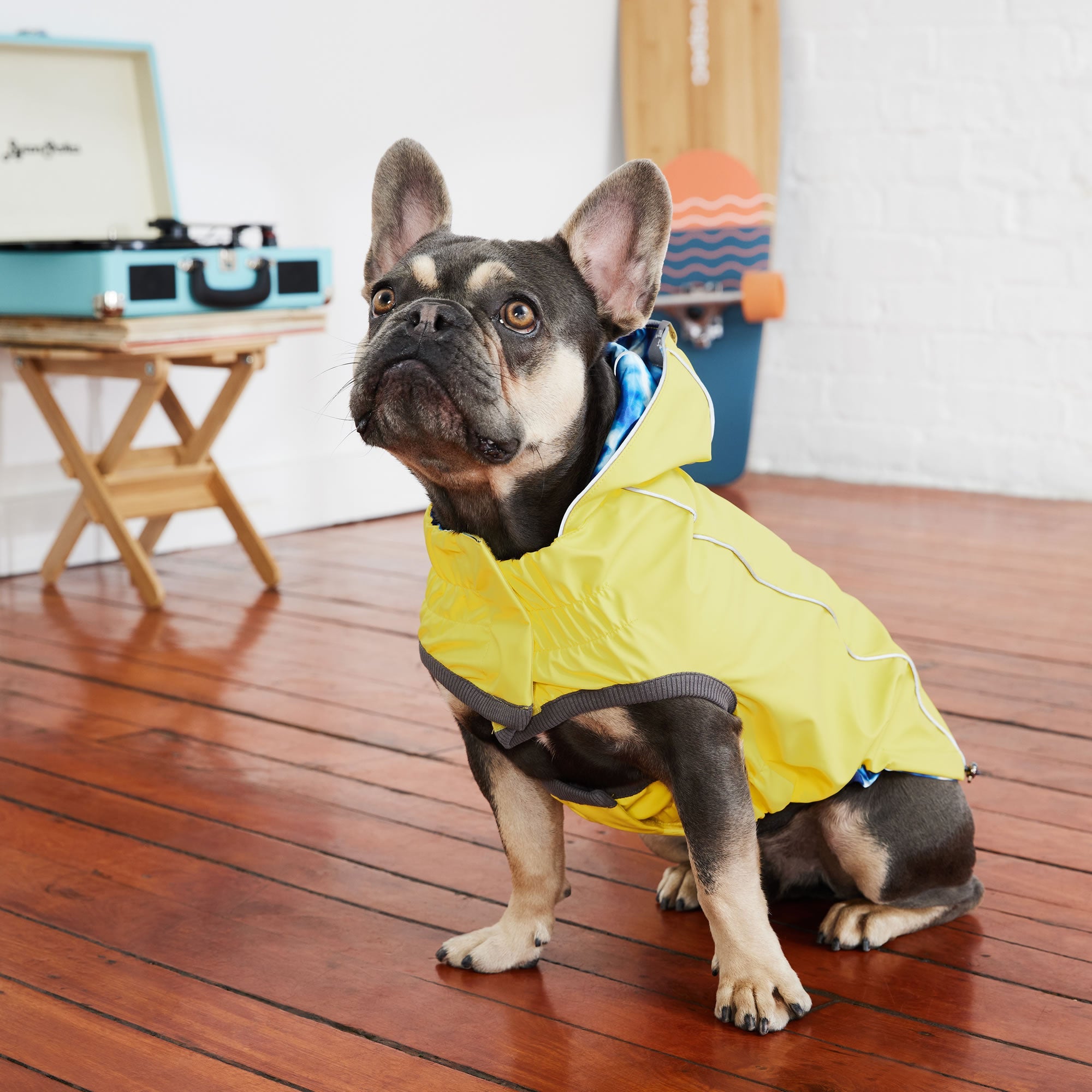 Reversible Elasto-Fit Waterproof Dog Raincoat – Yellow/Blue | 2-in-1 Jacket