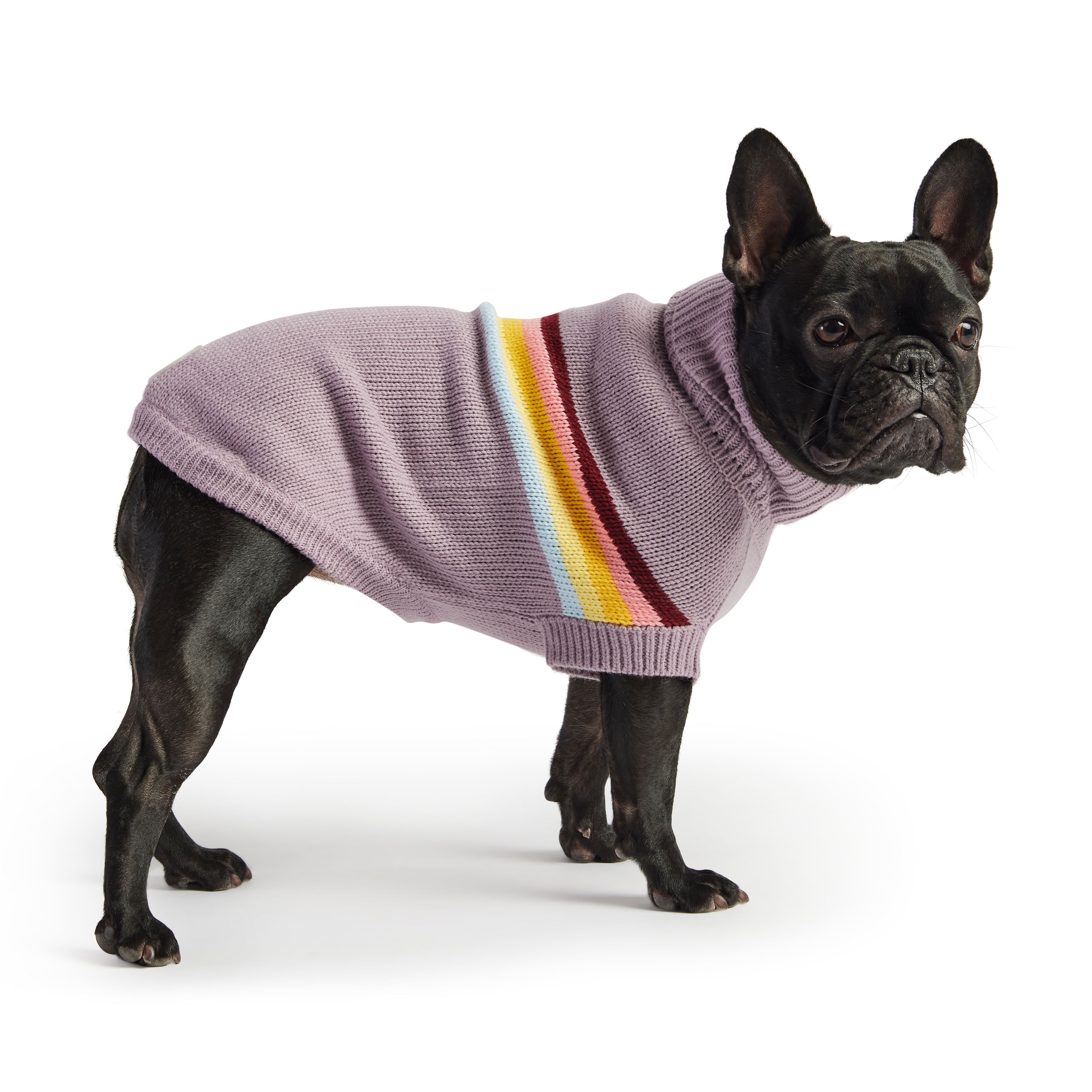 Retro Dog Sweater – Lavender | Soft Turtleneck Knit With Vintage Stripe