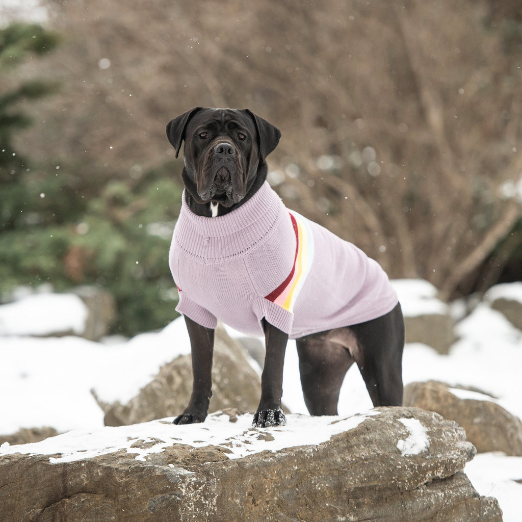 Retro Dog Sweater – Lavender | Soft Turtleneck Knit With Vintage Stripe