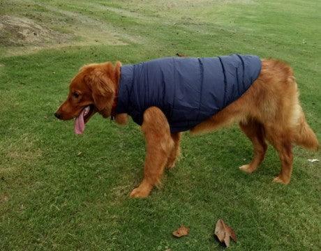 CozyCanine Waterproof Pet Jacket – Warm Winter Coat for Dogs