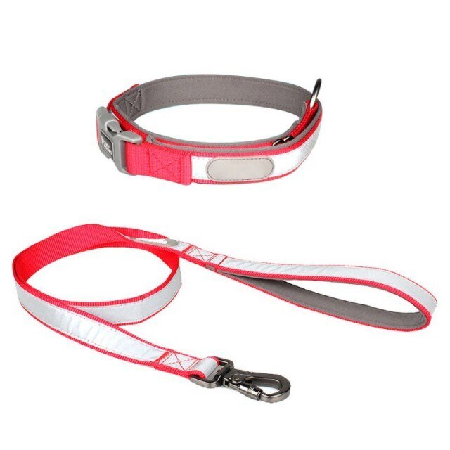Reflective Dog Collar & Leash Set – Safety Meets Style! For Small Medium Large Dogs