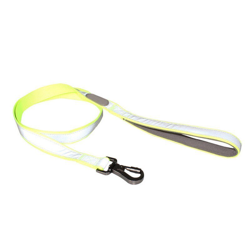 Reflective Dog Collar & Leash Set – Safety Meets Style! For Small Medium Large Dogs