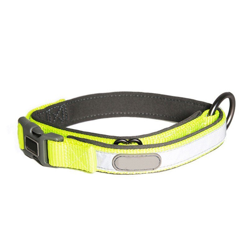 Reflective Dog Collar & Leash Set – Safety Meets Style! For Small Medium Large Dogs