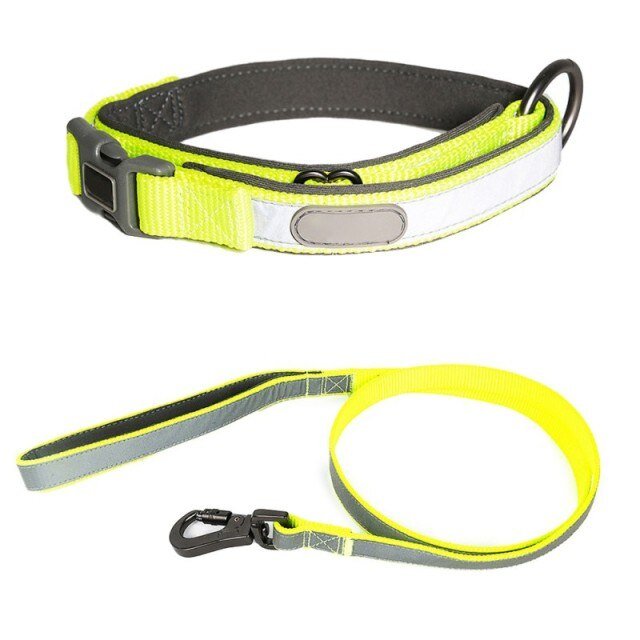 Reflective Dog Collar & Leash Set – Safety Meets Style! For Small Medium Large Dogs