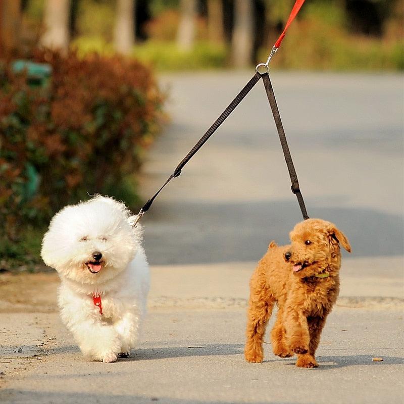 Double Dog Leash Coupler – No-Tangle Splitter for Walking Two Dogs