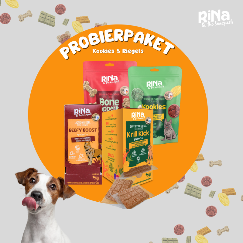 RiNa’s Gourmet 4-in-1 Dog Snack Pack – 960g Natural Treat Selection