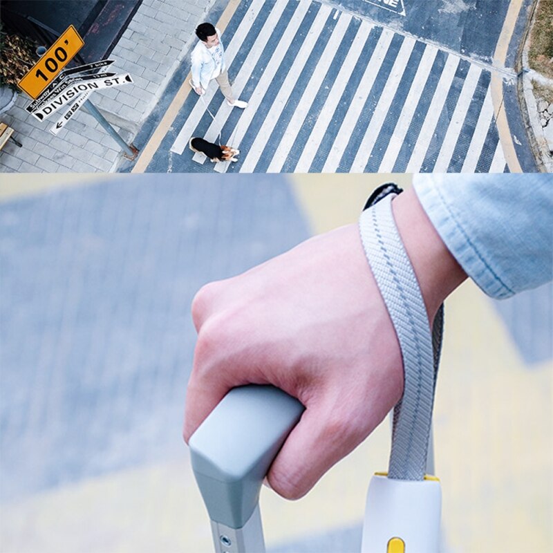 Hands-Free Dog Leash – Elastic Jogging Lead with Adjustable Waist Belt