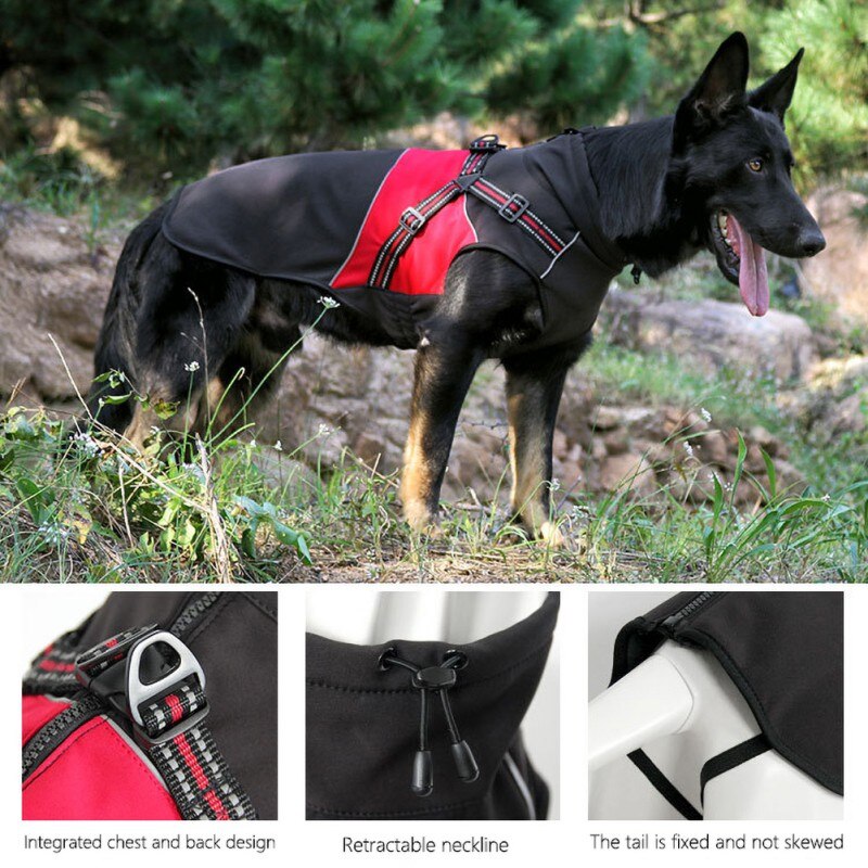 Winter Warm Dog Coat – Waterproof Padded Jacket for Cold Weather