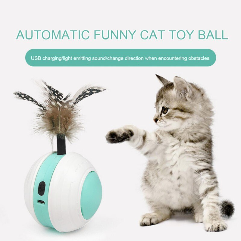 Smart Interactive LED Cat Ball – USB Rechargeable Motion Toy