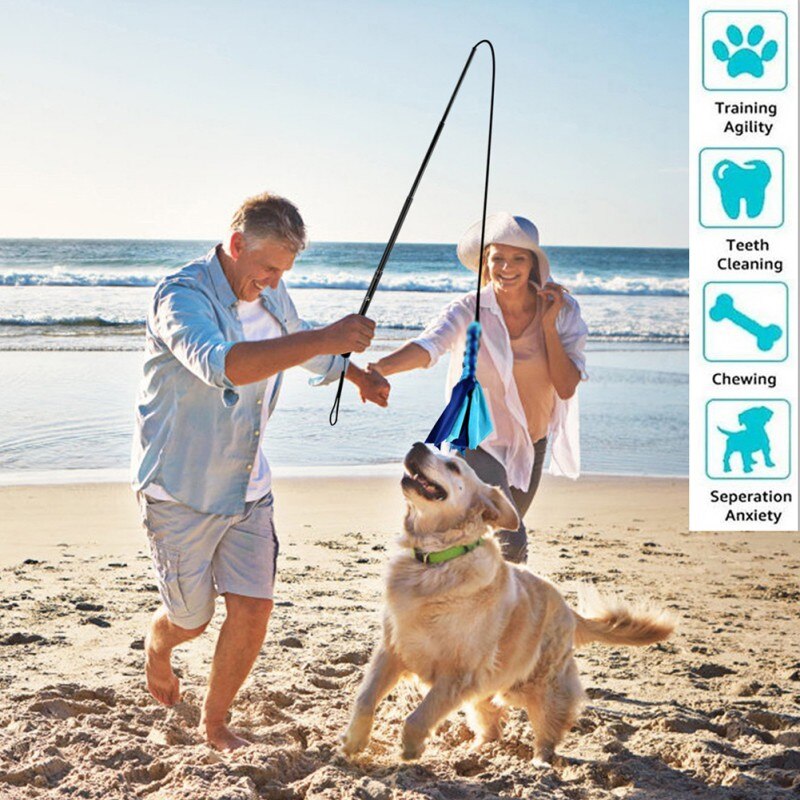 Interactive Cat Feather Wand – Replacement Teaser Stick for Active Cats