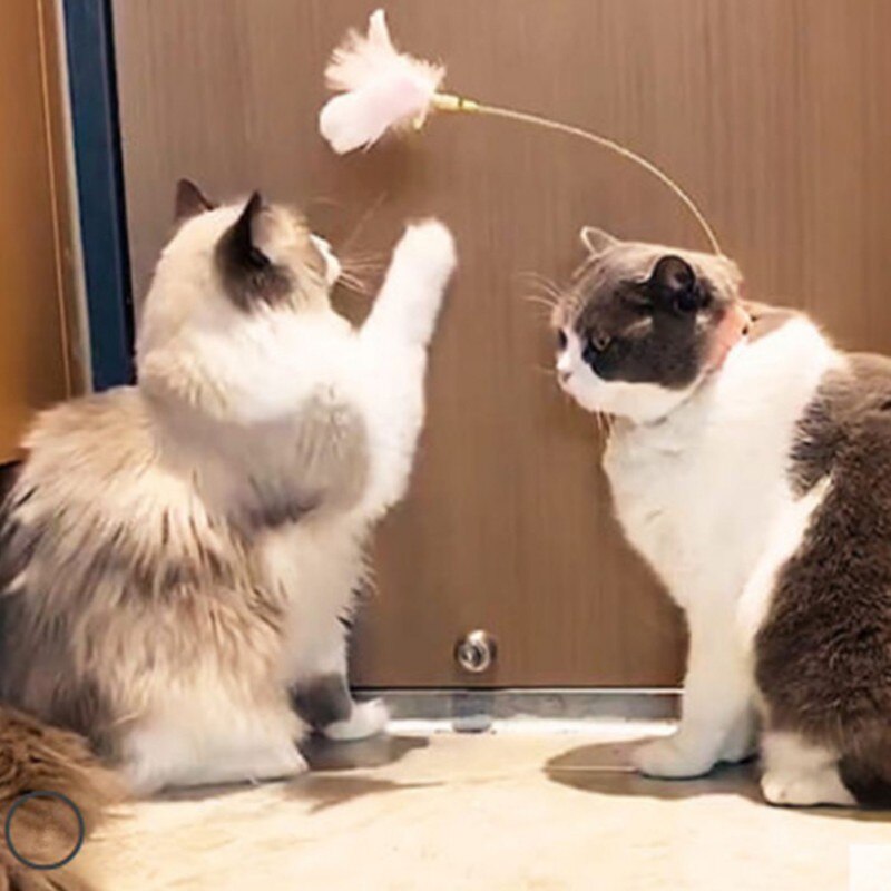 Funny Automatic Cat Teaser – Feather Wand Toy with Motion Sensor (Silicone or Metal Head)