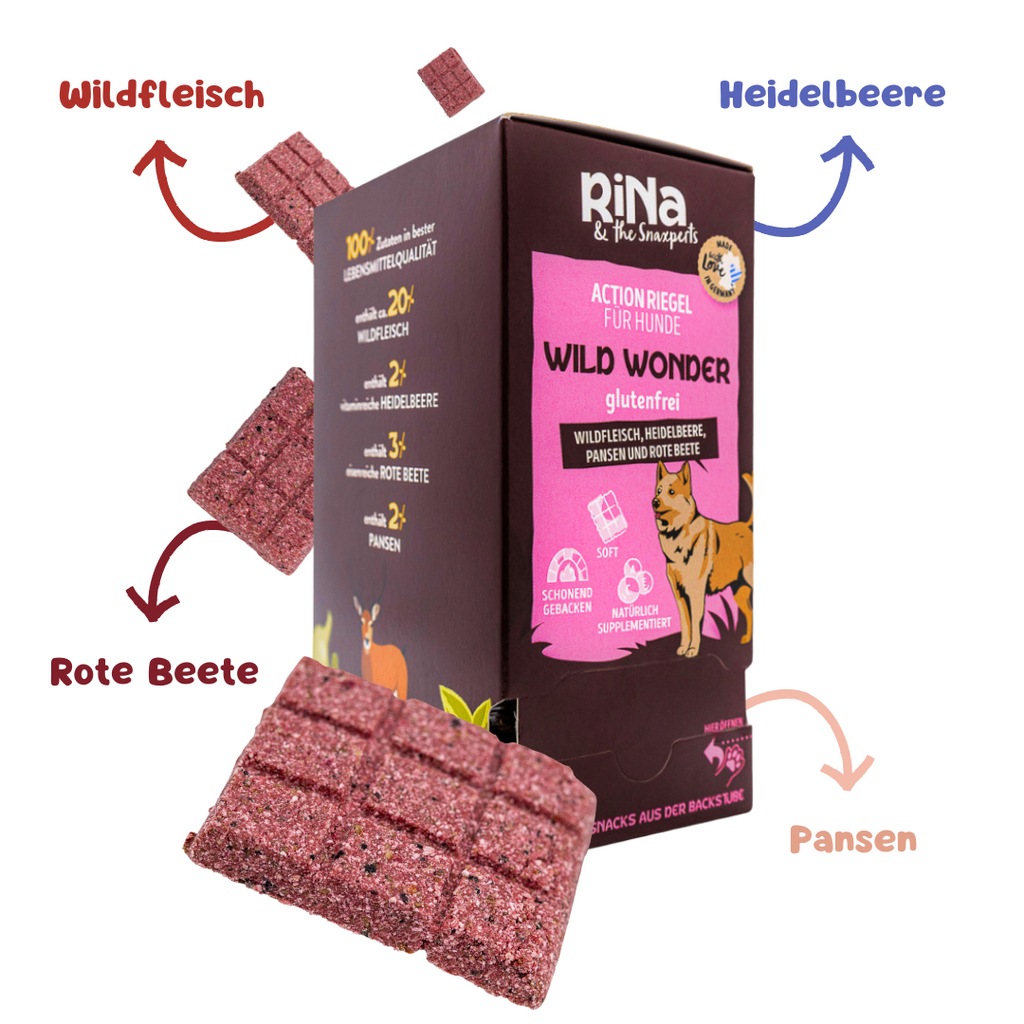 RiNa’s Premium Dog Snack Pack – 4in1 Natural Selection (380g)