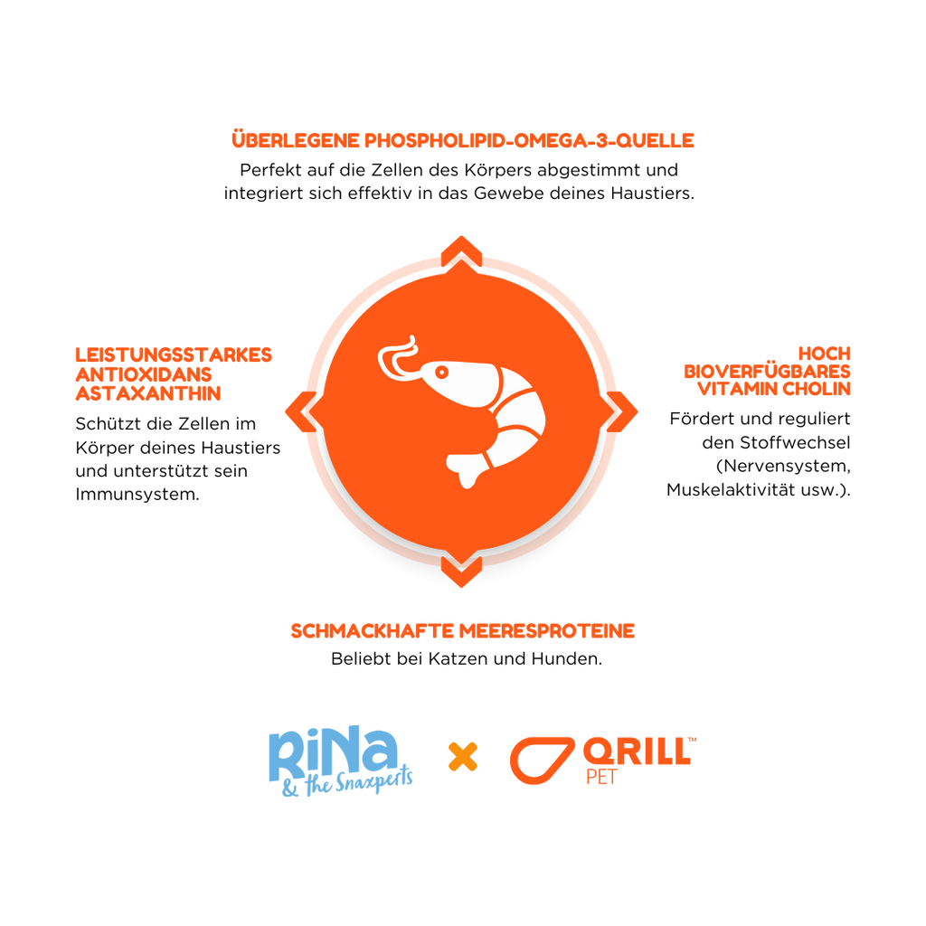 RiNa’s Gourmet 4-in-1 Dog Snack Pack – 960g Natural Treat Selection