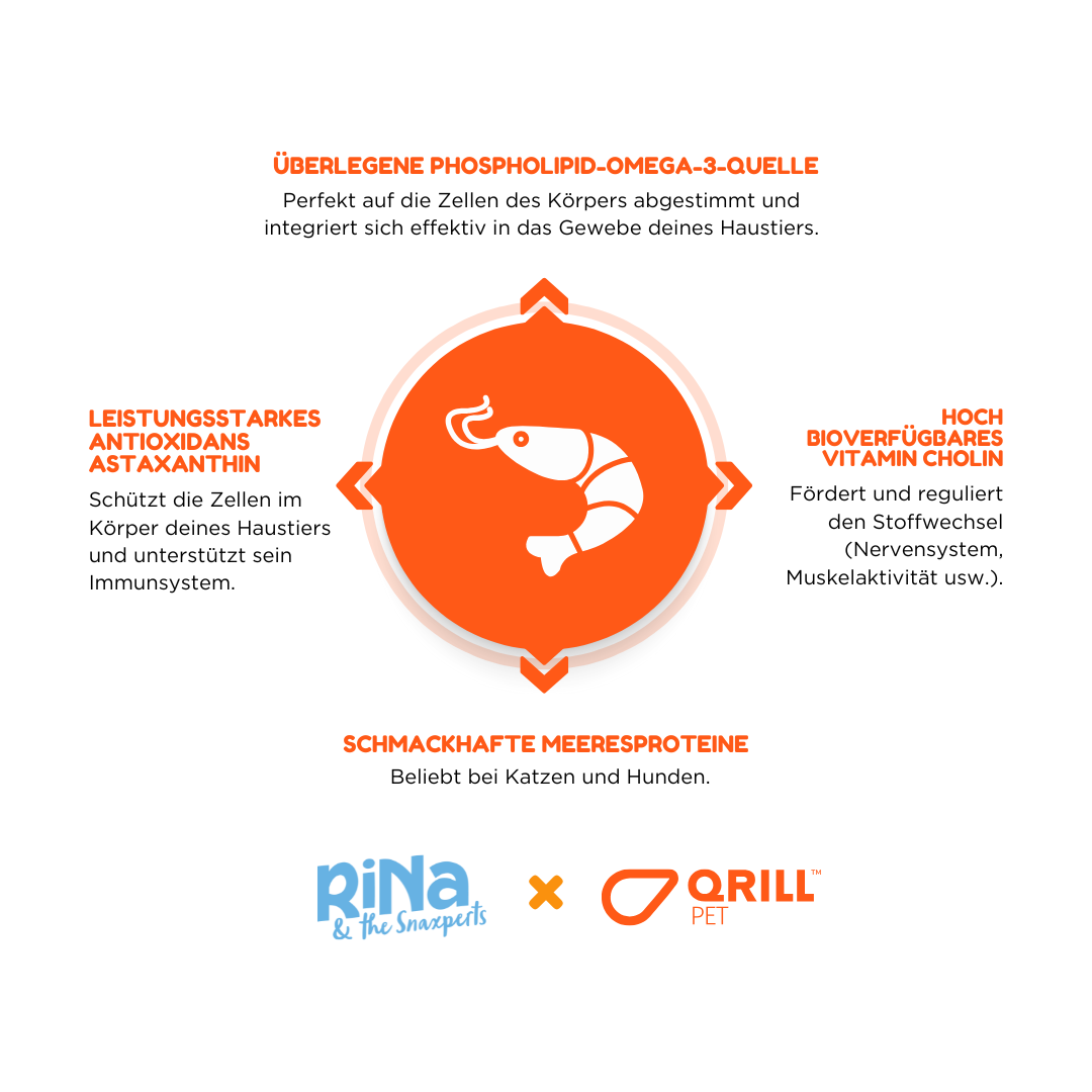 RiNa’s Gourmet 4-in-1 Dog Snack Pack – 960g Natural Treat Selection